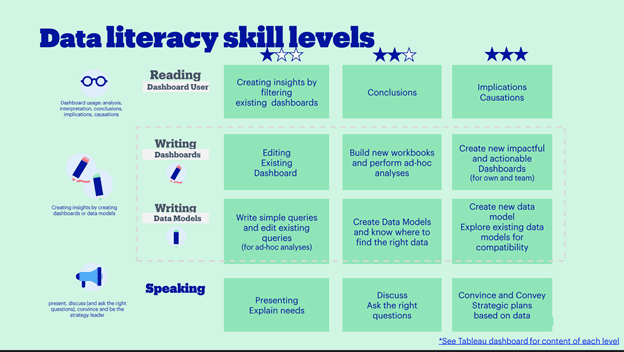 Data Literacy Skill Levels Table